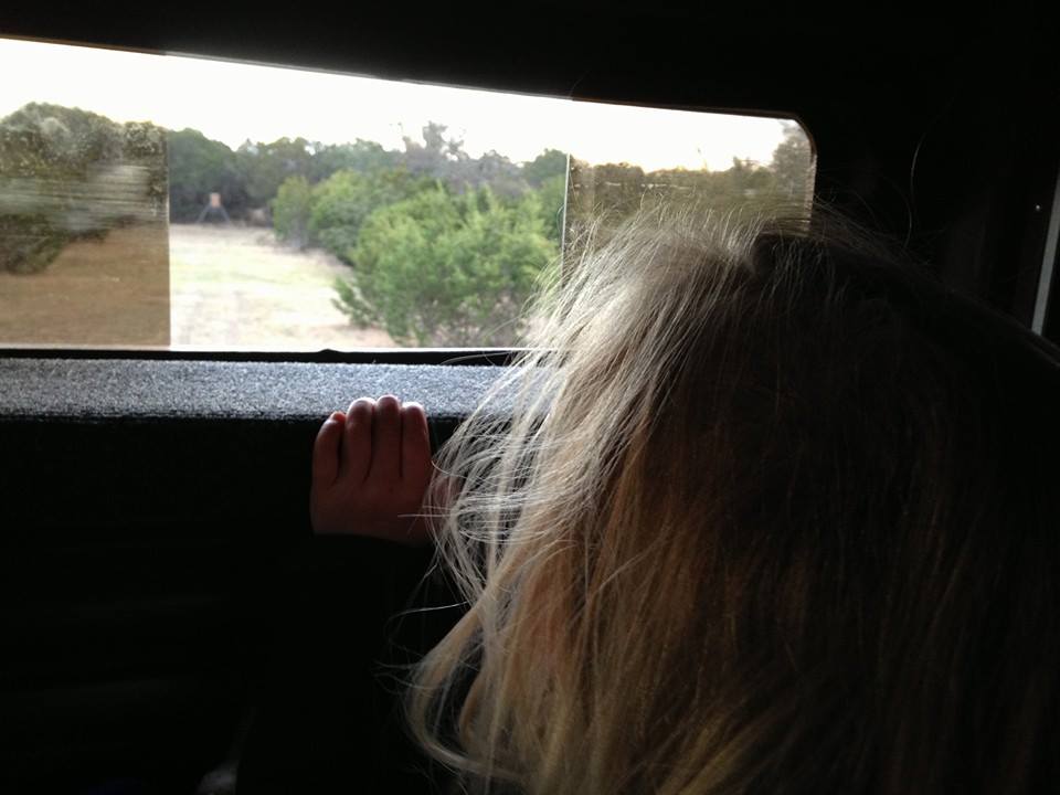 cheyenne looking